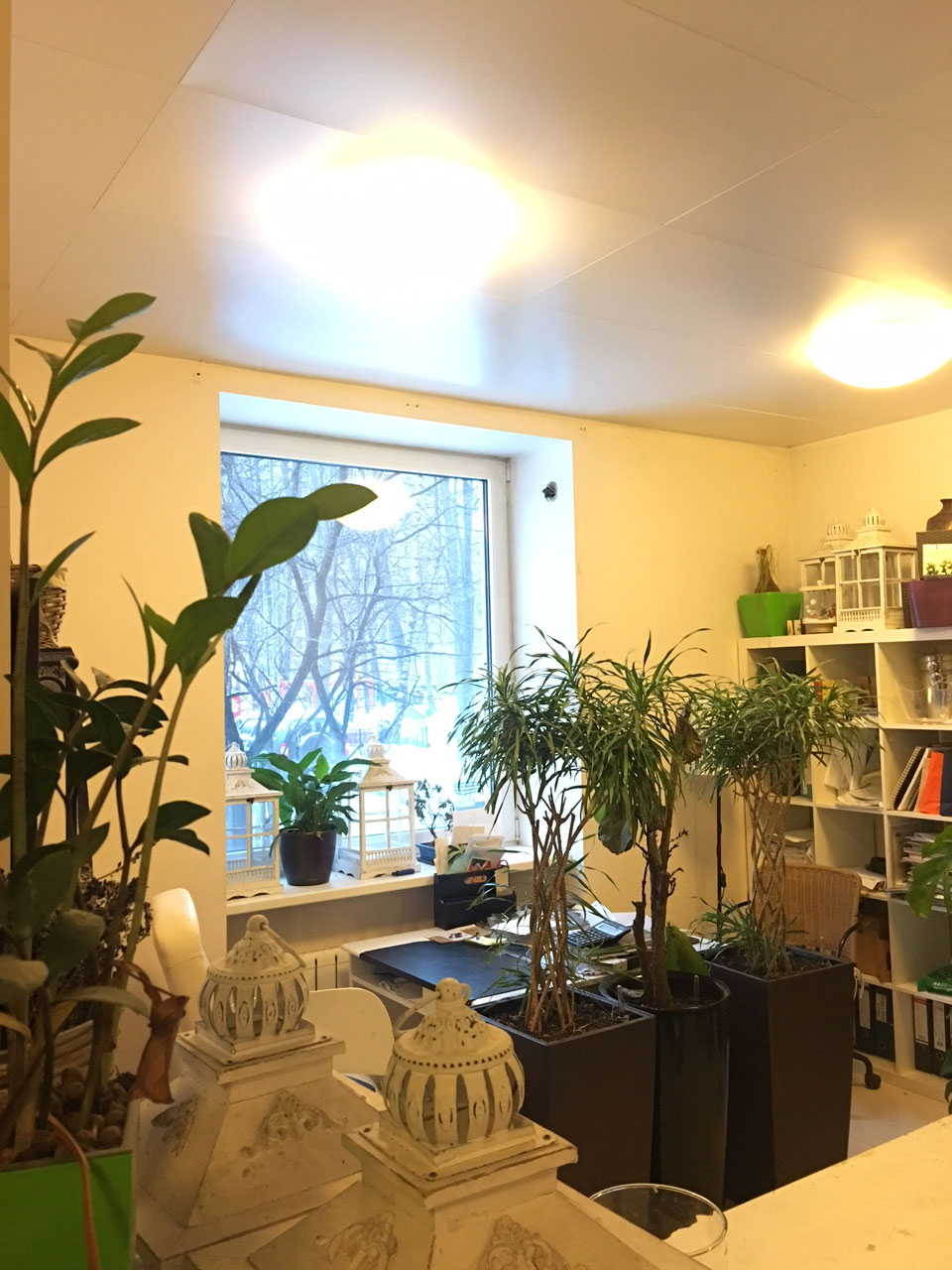 36 ИФНС (САО)  улица Молодежная дом 3