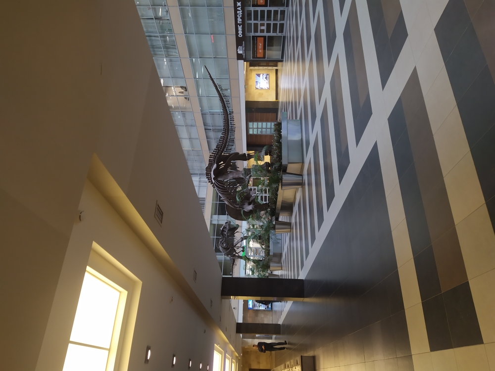 31 ИФНС (ЗАО) 121596, г. Москва, ул. Горбунова, д.2, стр.3, этаж 2, пом.II